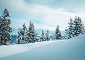 Tranquil winter scene of snow-covered trees in Megève, France amidst the Alps.